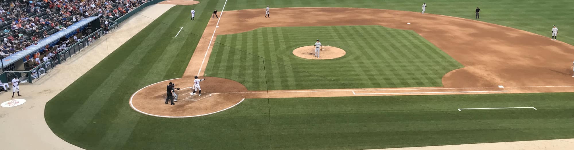 green baseball field Savannah